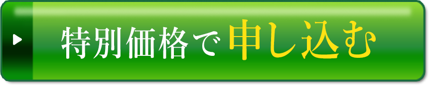初回限定特別価格で申し込む