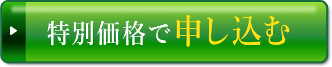 初回限定特別価格で申し込む