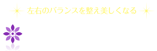 シンメトリー美人革命